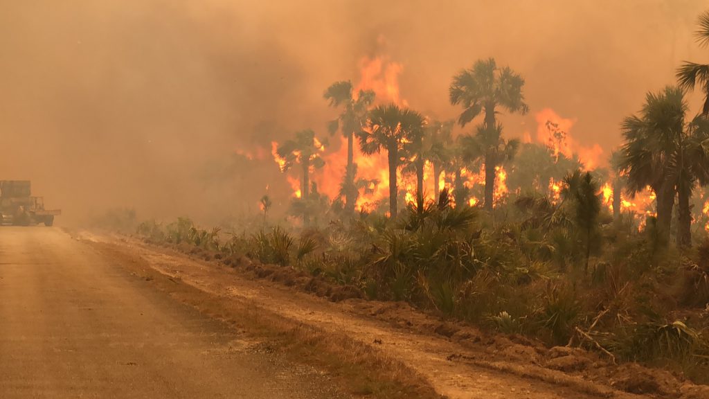 Greenway Fire